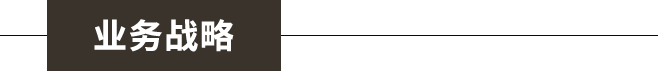 业务战略